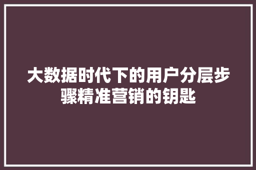 大数据时代下的用户分层步骤精准营销的钥匙
