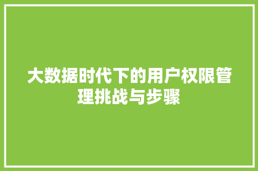 大数据时代下的用户权限管理挑战与步骤