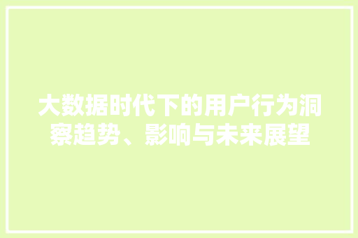 大数据时代下的用户行为洞察趋势、影响与未来展望
