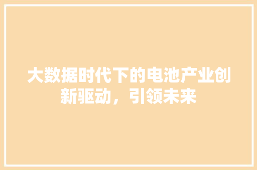大数据时代下的电池产业创新驱动，引领未来