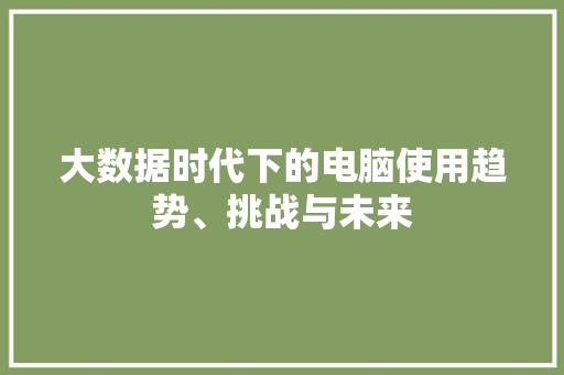 大数据时代下的电脑使用趋势、挑战与未来  第1张