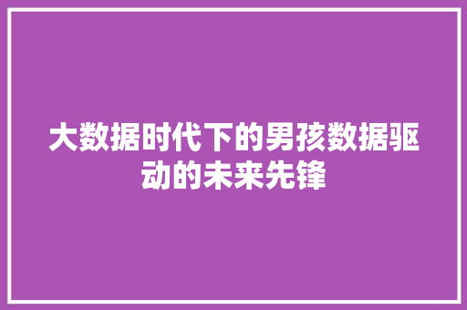 大数据时代下的男孩数据驱动的未来先锋  第1张