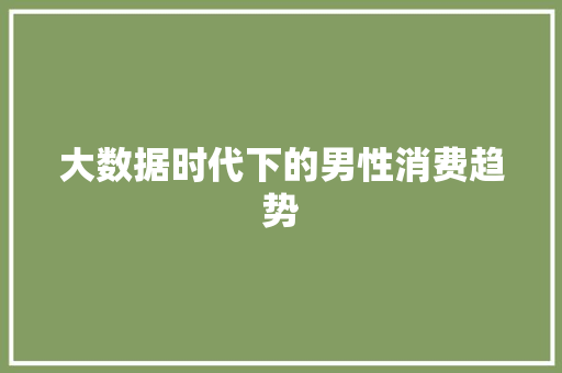 大数据时代下的男性消费趋势  第1张