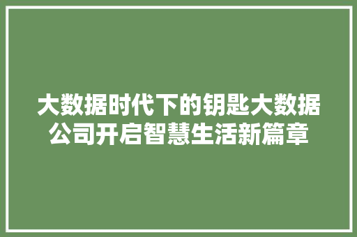 大数据时代下的钥匙大数据公司开启智慧生活新篇章  第1张