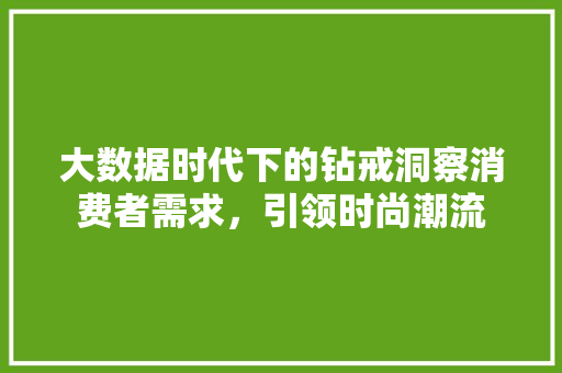大数据时代下的钻戒洞察消费者需求，引领时尚潮流