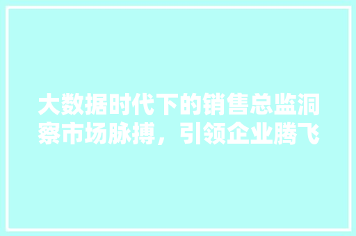 大数据时代下的销售总监洞察市场脉搏，引领企业腾飞  第1张