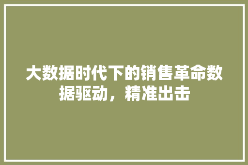 大数据时代下的销售革命数据驱动，精准出击  第1张