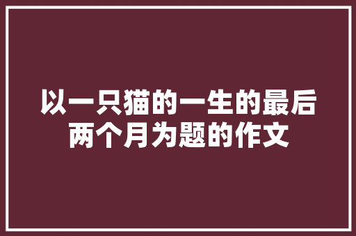 交警DG大数据助力智慧交通管理，构建安全出行新格局