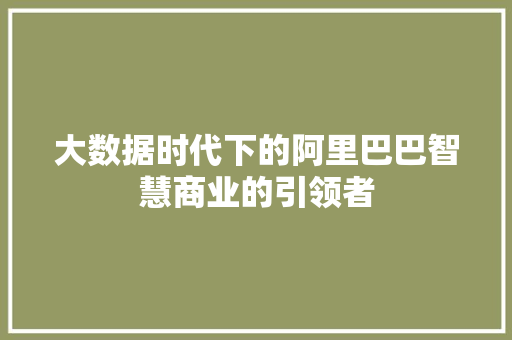 大数据时代下的阿里巴巴智慧商业的引领者