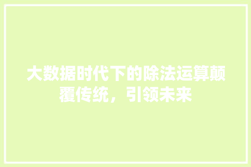 大数据时代下的除法运算颠覆传统，引领未来