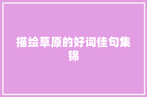大数据时代下的随机行为