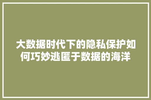 大数据时代下的隐私保护如何巧妙逃匿于数据的海洋
