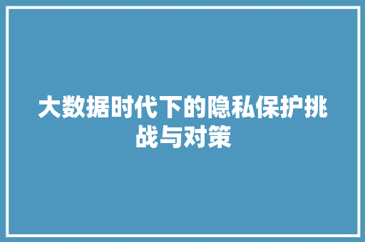 大数据时代下的隐私保护挑战与对策  第1张