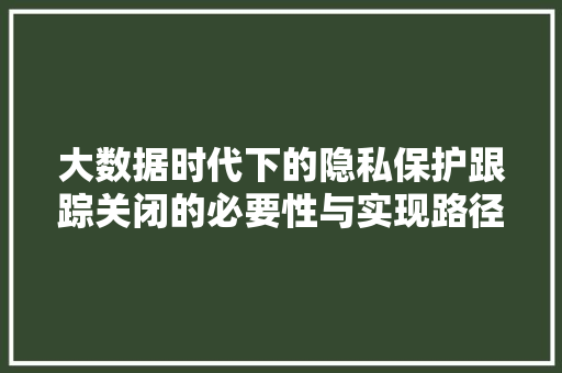 大数据时代下的隐私保护跟踪关闭的必要性与实现路径