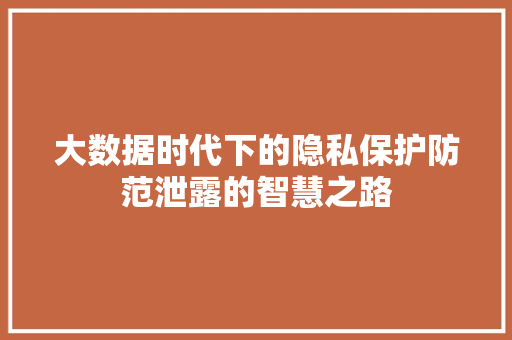 大数据时代下的隐私保护防范泄露的智慧之路