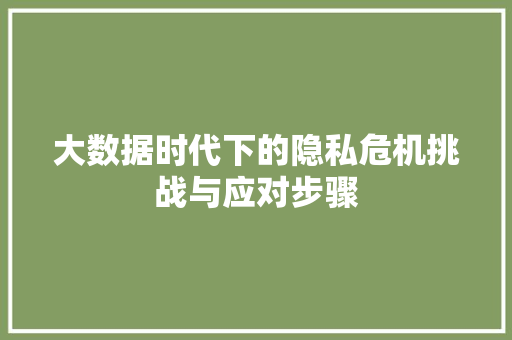 大数据时代下的隐私危机挑战与应对步骤  第1张