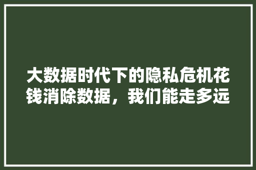 大数据时代下的隐私危机花钱消除数据，我们能走多远