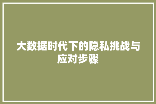 大数据时代下的隐私挑战与应对步骤
