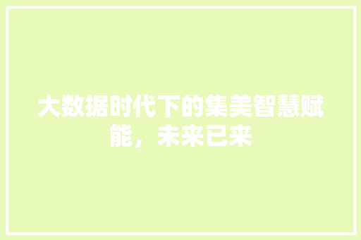 大数据时代下的集美智慧赋能，未来已来