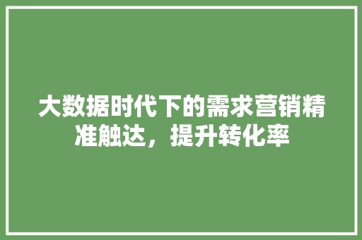 大数据时代下的需求营销精准触达，提升转化率  第1张