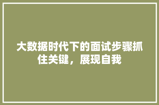 大数据时代下的面试步骤抓住关键，展现自我  第1张