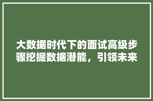 大数据时代下的面试高级步骤挖掘数据潜能，引领未来职场  第1张