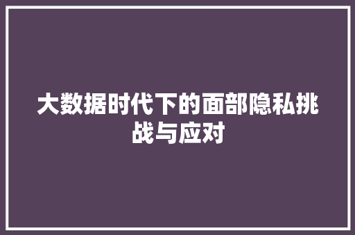 大数据时代下的面部隐私挑战与应对  第1张