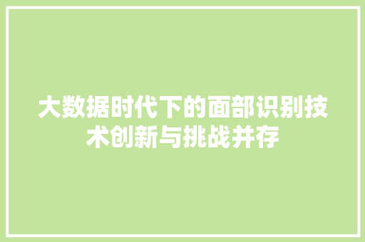 大数据时代下的面部识别技术创新与挑战并存
