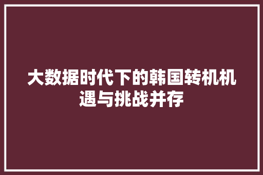 大数据时代下的韩国转机机遇与挑战并存