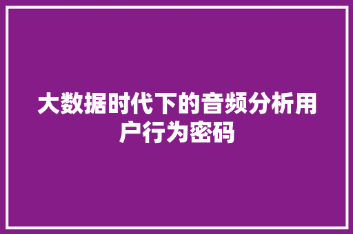 大数据时代下的音频分析用户行为密码