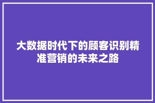 大数据时代下的顾客识别精准营销的未来之路