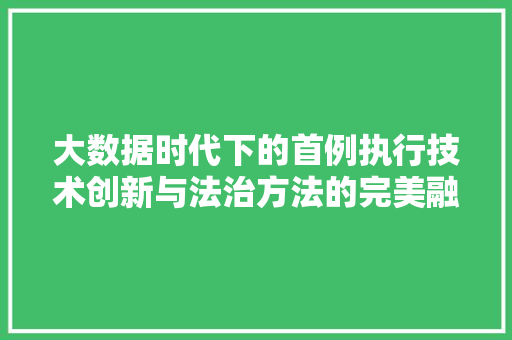 大数据时代下的首例执行技术创新与法治方法的完美融合  第1张