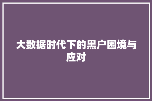 大数据时代下的黑户困境与应对  第1张