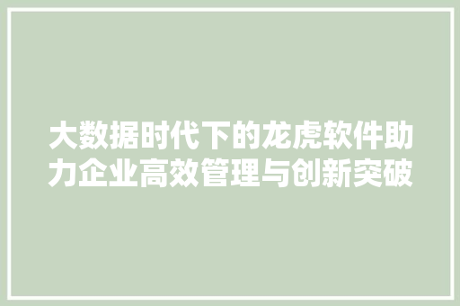 大数据时代下的龙虎软件助力企业高效管理与创新突破  第1张
