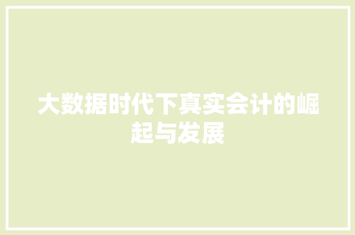大数据时代下真实会计的崛起与发展  第1张