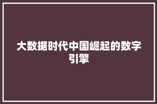 大数据时代中国崛起的数字引擎  第1张