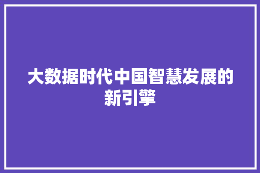 大数据时代中国智慧发展的新引擎  第1张