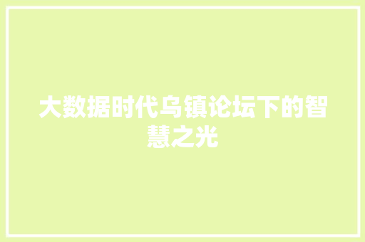 大数据时代乌镇论坛下的智慧之光
