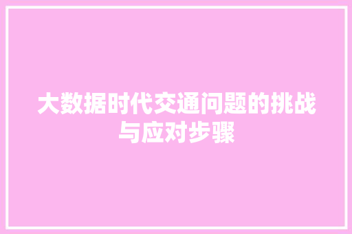 大数据时代交通问题的挑战与应对步骤