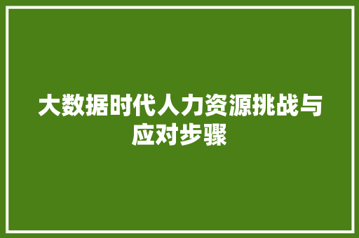 大数据时代人力资源挑战与应对步骤  第1张