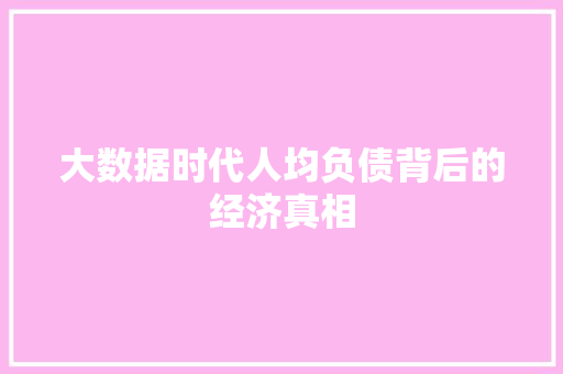 大数据时代人均负债背后的经济真相