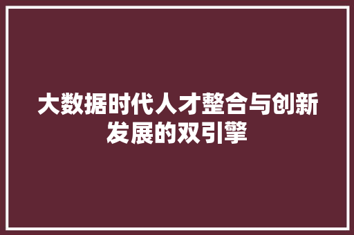 大数据时代人才整合与创新发展的双引擎
