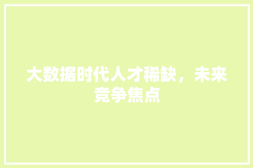 大数据时代人才稀缺，未来竞争焦点  第1张
