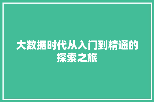 大数据时代从入门到精通的探索之旅