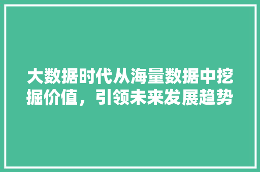 大数据时代从海量数据中挖掘价值，引领未来发展趋势