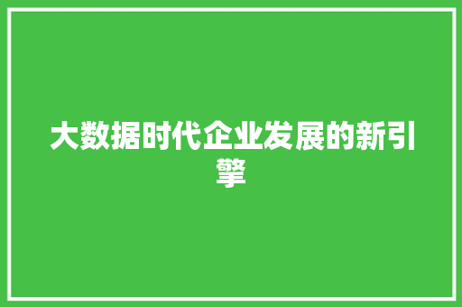 大数据时代企业发展的新引擎  第1张