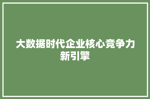 大数据时代企业核心竞争力新引擎