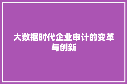 大数据时代企业审计的变革与创新  第1张