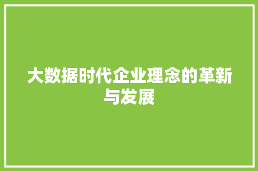 大数据时代企业理念的革新与发展
