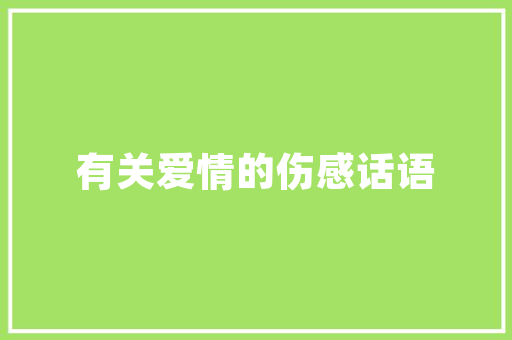 交通大数据卡口智慧交通的未来之光